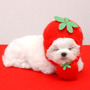 草莓狗