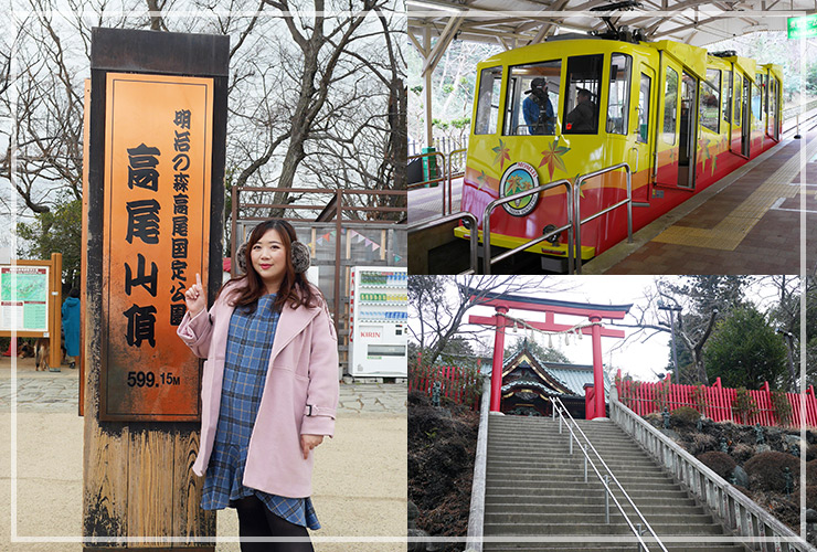 東京高尾山