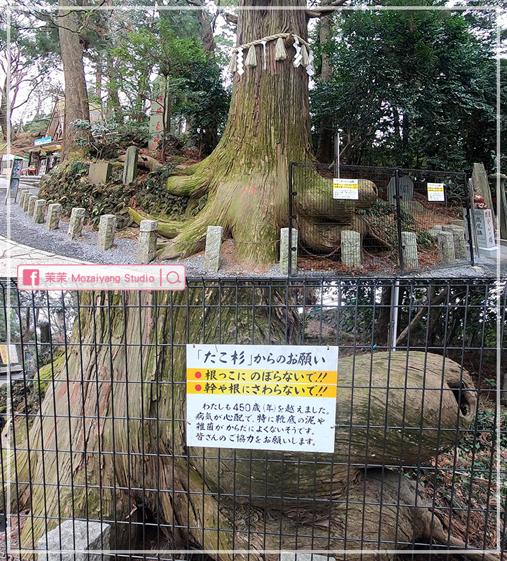 東京高尾山