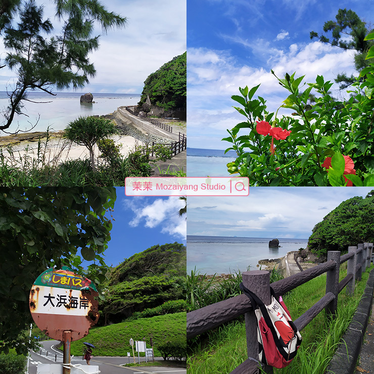 奄美大島