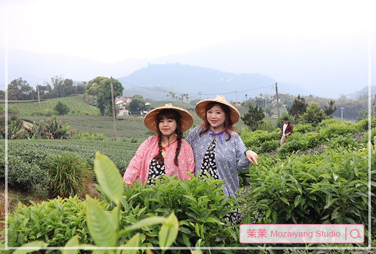 阿里山西北廊道三天兩夜小旅行