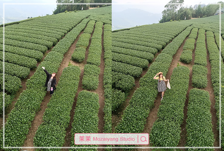 阿里山西北廊道三天兩夜小旅行