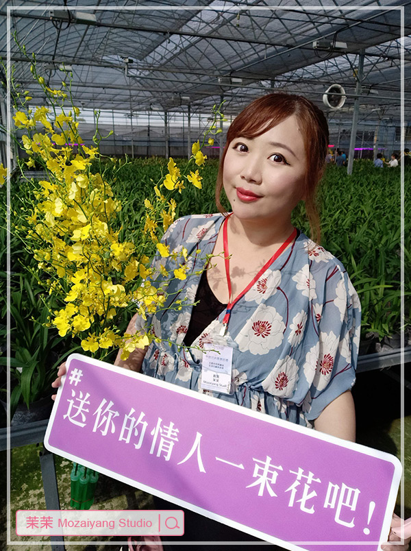 台灣花卉蘭波萬-文心蘭 