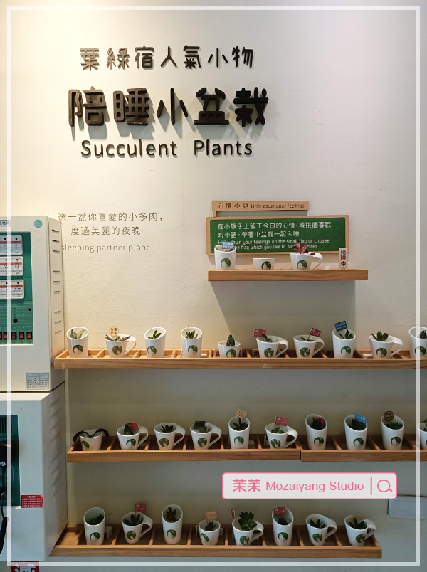 台中逢甲葉綠宿旅館
