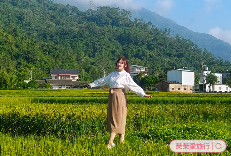 台東關山池上親子民宿-茶田關舍