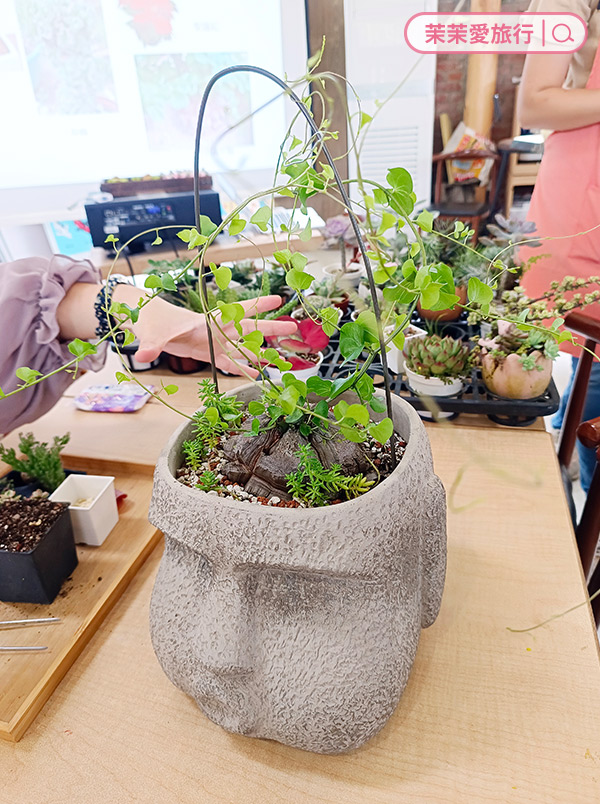 繞山花 手作多肉植物組合盆栽