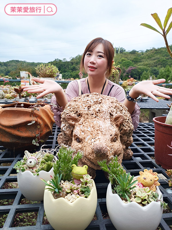 繞山花 手作多肉植物組合盆栽