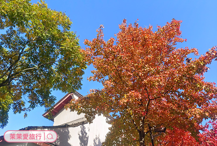 杭州西湖景點｜靈隱寺．飛來峰