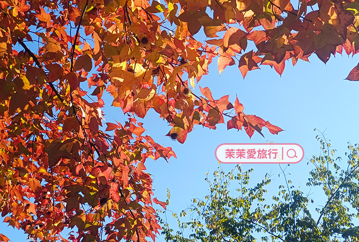 杭州西湖景點｜靈隱寺．飛來峰