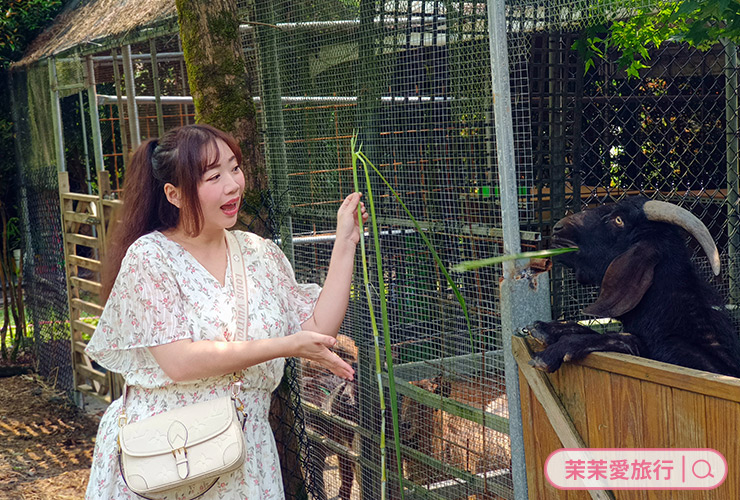 宜蘭親子景點｜鳳梨屋水上莊園