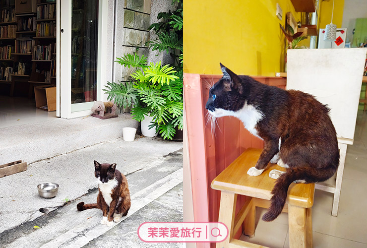 2025花蓮三天兩夜親子旅遊行程懶人包