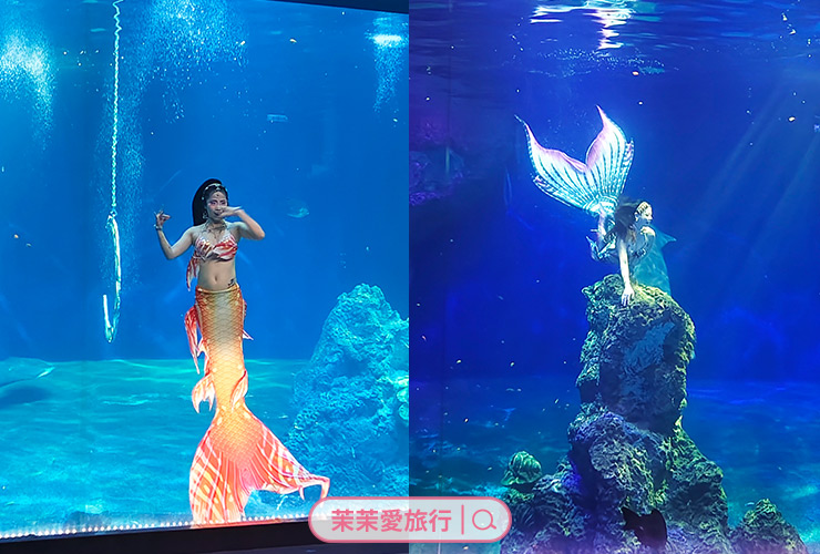 2025花蓮三天兩夜親子旅遊行程懶人包