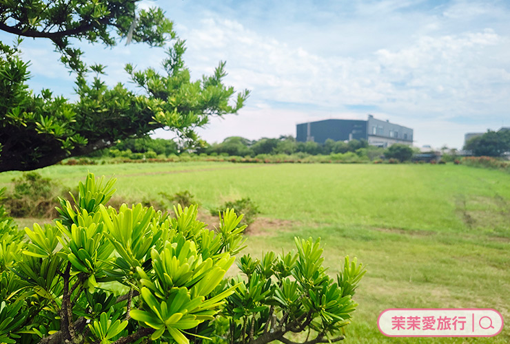 高雄梓官一日遊｜赤西特色漁村生活美學體驗