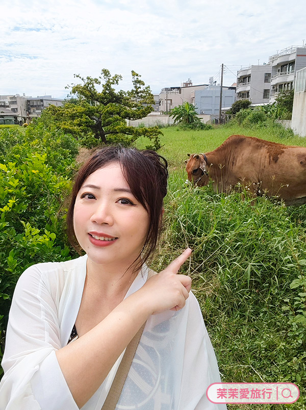 高雄梓官一日遊｜赤西特色漁村生活美學體驗