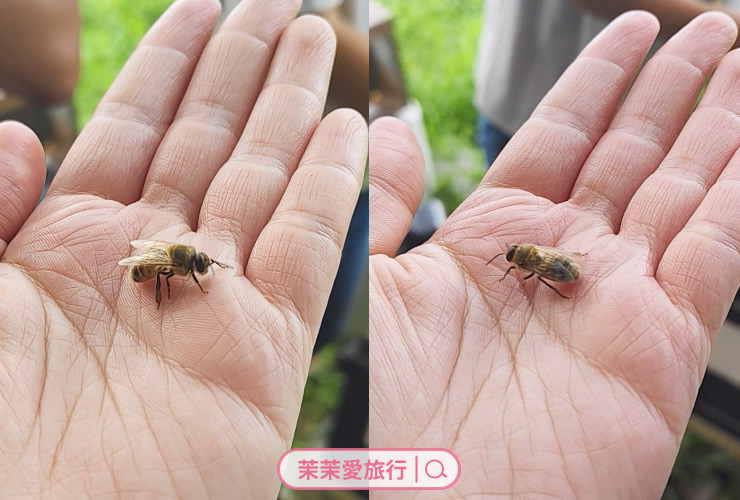 高雄梓官一日遊｜赤西特色漁村生活美學體驗