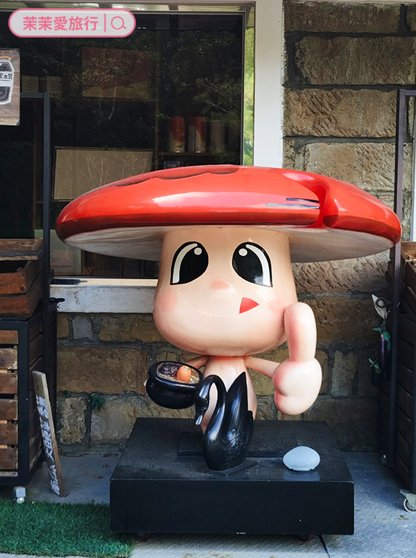 木柵平溪線一日遊｜台灣好行綠色套票