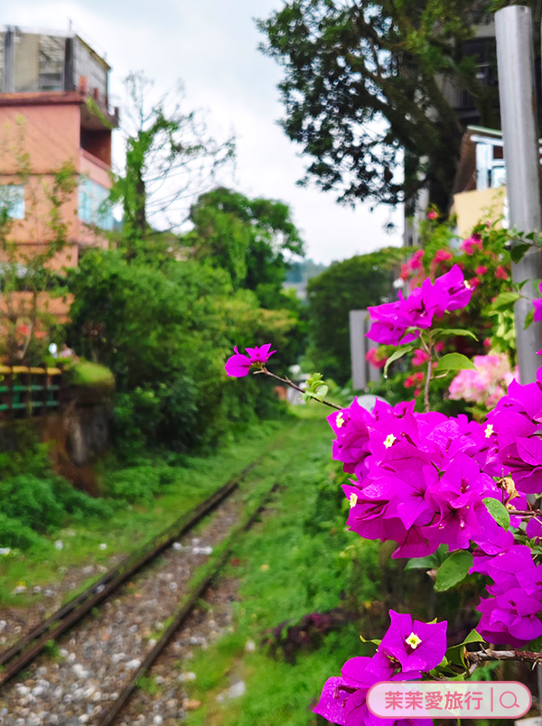 木柵平溪線一日遊｜台灣好行綠色套票