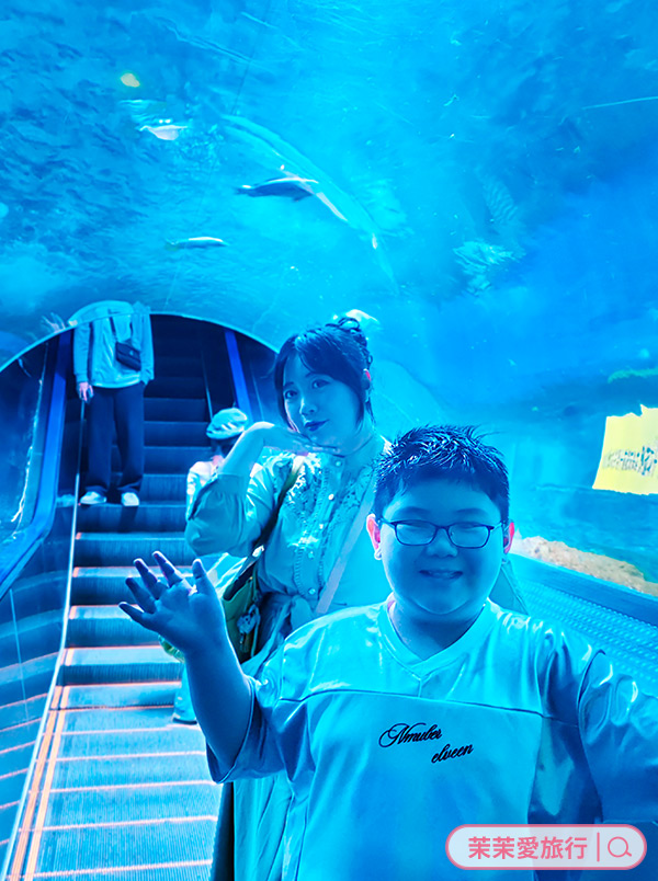 2025花蓮三天兩夜親子旅遊行程