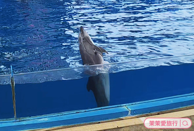 2025花蓮三天兩夜親子旅遊行程