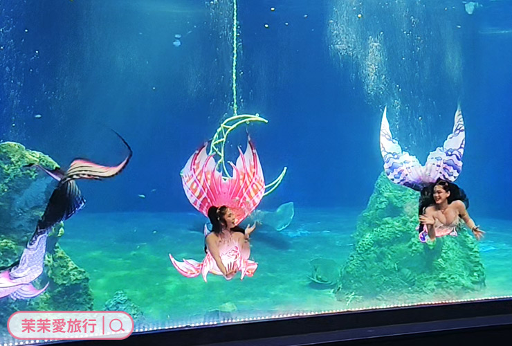 2025花蓮三天兩夜親子旅遊行程