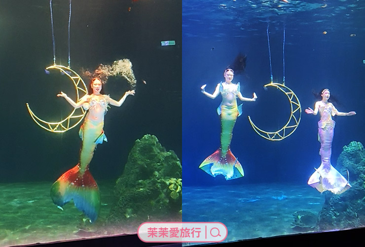 2025花蓮三天兩夜親子旅遊行程