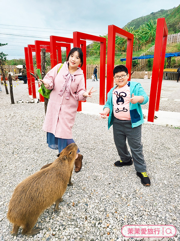 2025花蓮三天兩夜親子旅遊行程